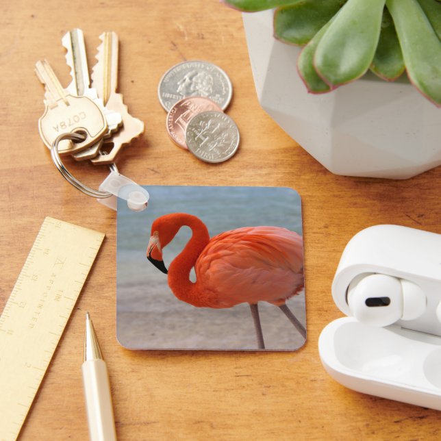 Tropical Beaches | Caribbean Flamingo, Aruba Key Ring (Desk)