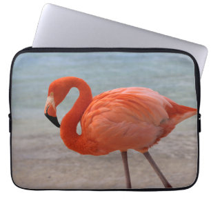 Tropical Beaches   Caribbean Flamingo, Aruba Laptop Sleeve
