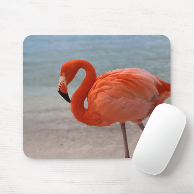 Tropical Beaches | Caribbean Flamingo, Aruba Mouse Pad (With Mouse)