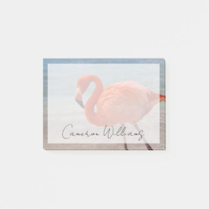 Tropical Beaches   Caribbean Flamingo, Aruba Post-it Notes