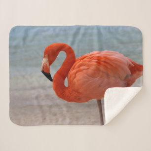 Tropical Beaches   Caribbean Flamingo, Aruba Sherpa Blanket