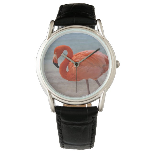 Tropical Beaches | Caribbean Flamingo, Aruba Watch (Front)