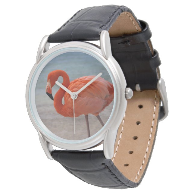 Tropical Beaches | Caribbean Flamingo, Aruba Watch (Angled)