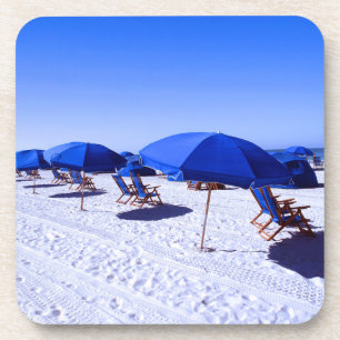 Tropical Beaches   Clearwater, Florida Coaster