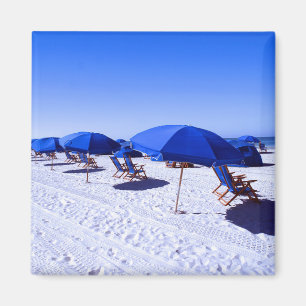 Tropical Beaches Clearwater, Florida Magnet