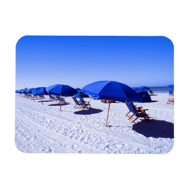 Tropical Beaches | Clearwater, Florida Magnet (Horizontal)