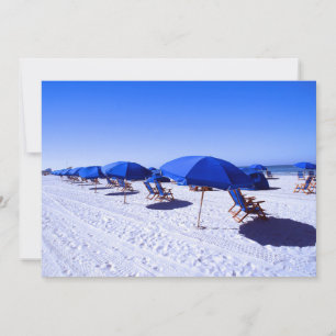 Tropical Beaches Clearwater, Florida Thank You Card
