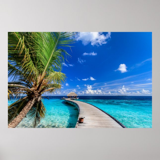 Tropical Beaches | Dusit Thani Maldives Poster (Front)