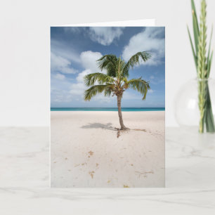 Tropical Beaches Eagle Beach, Aruba Card
