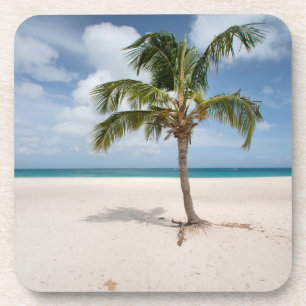 Tropical Beaches Eagle Beach, Aruba Coaster
