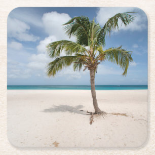 Tropical Beaches Eagle Beach, Aruba Square Paper Coaster
