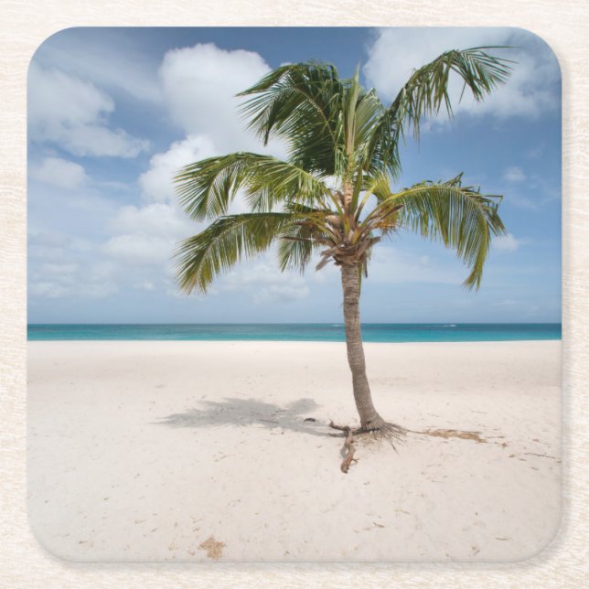 Tropical Beaches | Eagle Beach, Aruba Square Paper Coaster (Front)