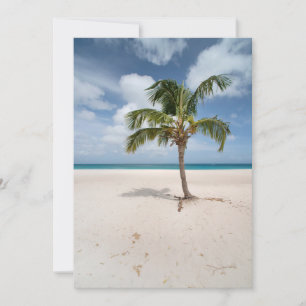 Tropical Beaches Eagle Beach, Aruba Thank You Card
