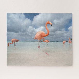 Tropical Beaches   Flamingos Beach, Aruba Jigsaw Puzzle