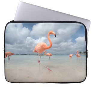 Tropical Beaches Flamingos Beach, Aruba Laptop Sleeve