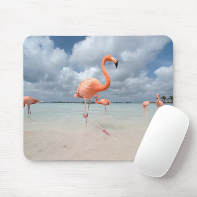 Tropical Beaches | Flamingos Beach, Aruba Mouse Pad (With Mouse)