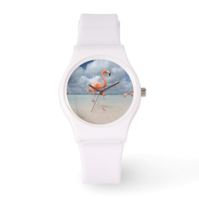 Tropical Beaches | Flamingos Beach, Aruba Watch (Front)