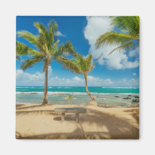 Tropical Beaches   Kuau Cove Beach, Maui Hawaii Magnet