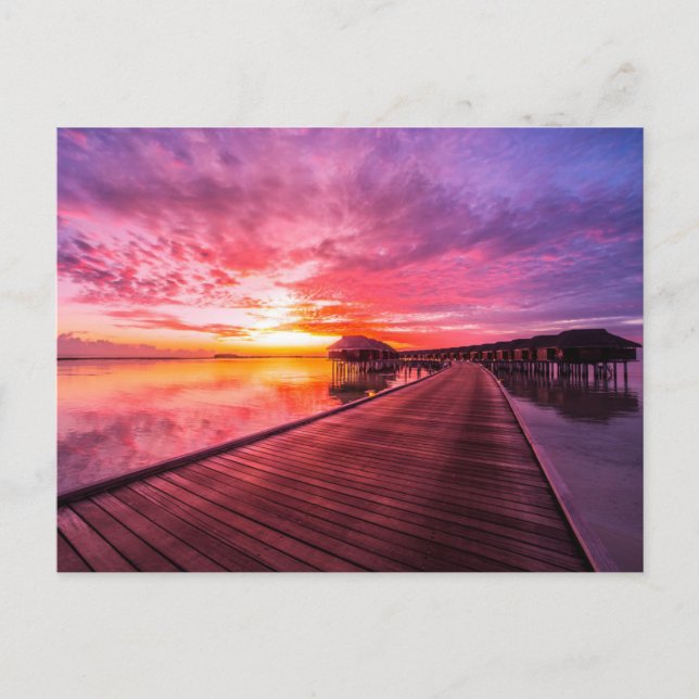 Tropical Beaches |  Maldives Sunset Postcard (Front)