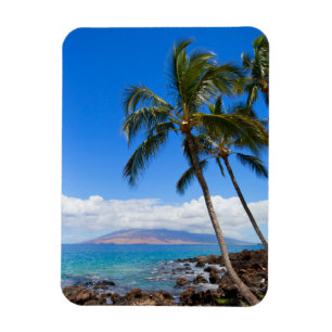 Tropical Beaches   Maui Hawaii Island Magnet
