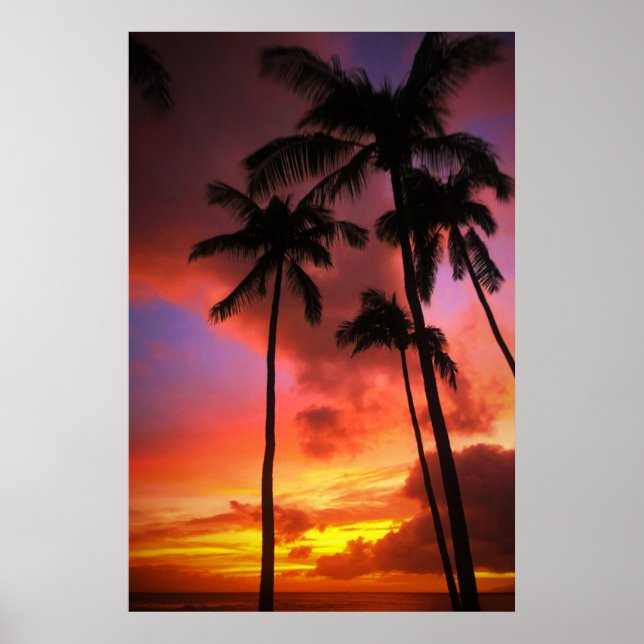 Tropical Beaches | Maui Hawaii Islands Poster (Front)