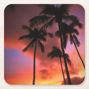 Tropical Beaches Maui Hawaii Islands Square Paper Coaster