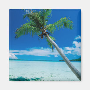 Tropical Beaches Motu Tofari Beach, Bora Bora Magnet