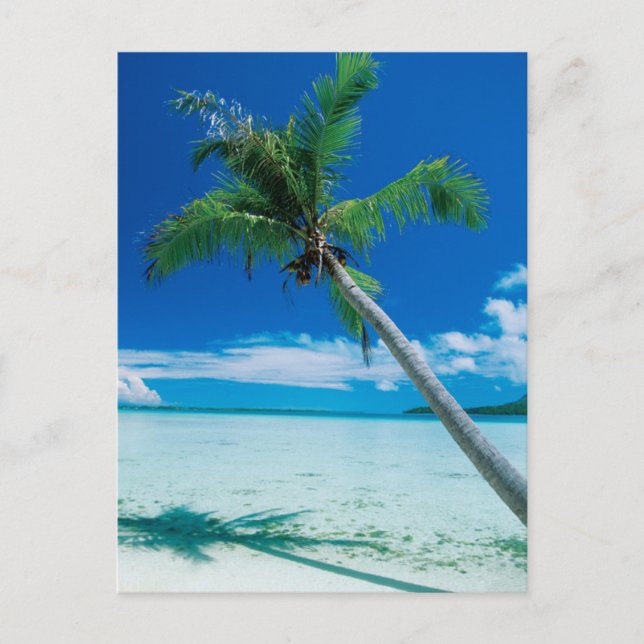 Tropical Beaches | Motu Tofari Beach, Bora Bora Postcard (Front)
