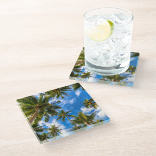 Tropical Beaches   Palm Trees on Blue Sky Glass Coaster