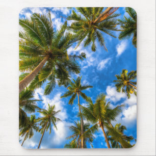 Tropical Beaches   Palm Trees on Blue Sky Mouse Pad