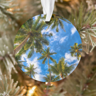 Tropical Beaches   Palm Trees on Blue Sky Ornament