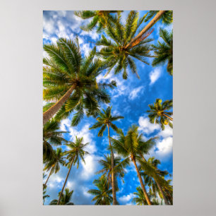 Tropical Beaches   Palm Trees on Blue Sky Poster