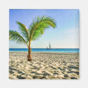Tropical Beaches   Sailboat, Palm Tree, Aruba Magnet