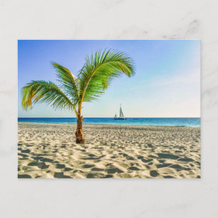 Tropical Beaches Sailboat, Palm Tree, Aruba Postcard