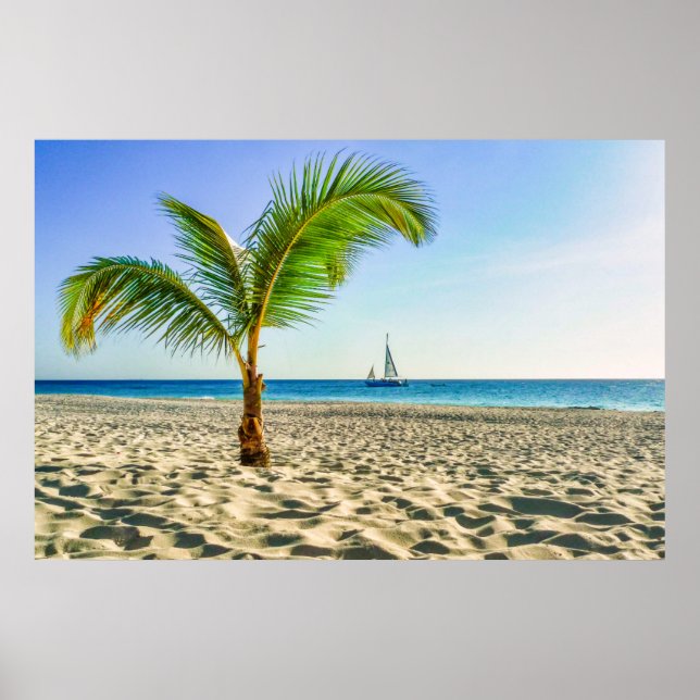 Tropical Beaches | Sailboat, Palm Tree, Aruba Poster (Front)