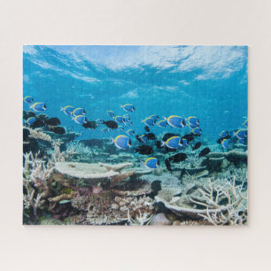 Tropical Beaches Sturgeon Amongst Coral Jigsaw Puzzle