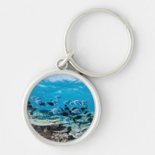 Tropical Beaches   Sturgeon Amongst Coral Key Ring