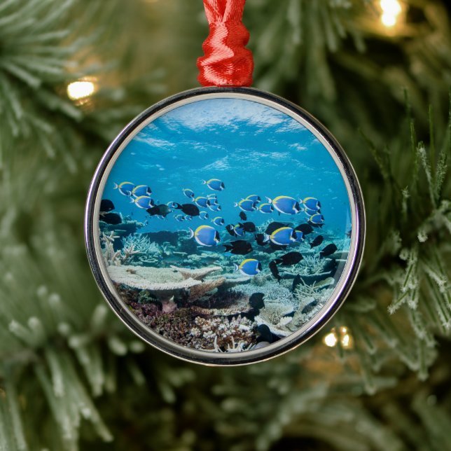 Tropical Beaches | Sturgeon Amongst Coral Metal Ornament (Tree)