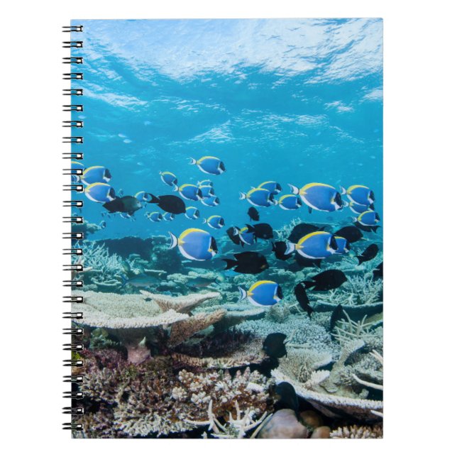 Tropical Beaches | Sturgeon Amongst Coral Notebook (Front)