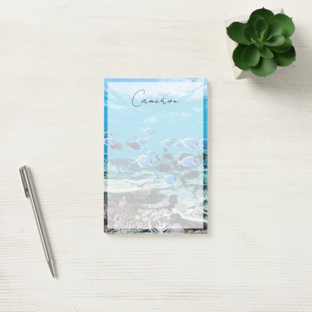 Tropical Beaches | Sturgeon Amongst Coral Post-it Notes (Office)
