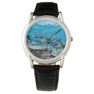 Tropical Beaches   Sturgeon Amongst Coral Watch