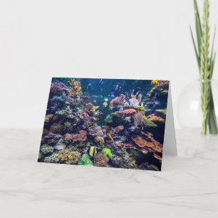 Tropical Beaches   Underwater Coral Reef Card
