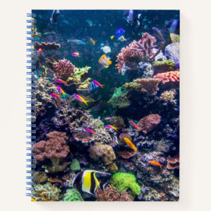 Tropical Beaches   Underwater Coral Reef Notebook