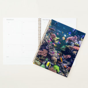 Tropical Beaches Underwater Coral Reef Planner
