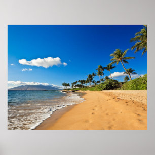 Tropical Beaches   Wailea, Maui, Hawaii Poster