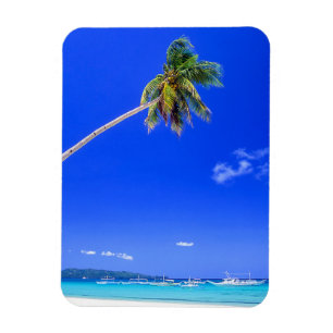 Tropical Beaches   White Beach, Phillipines Magnet
