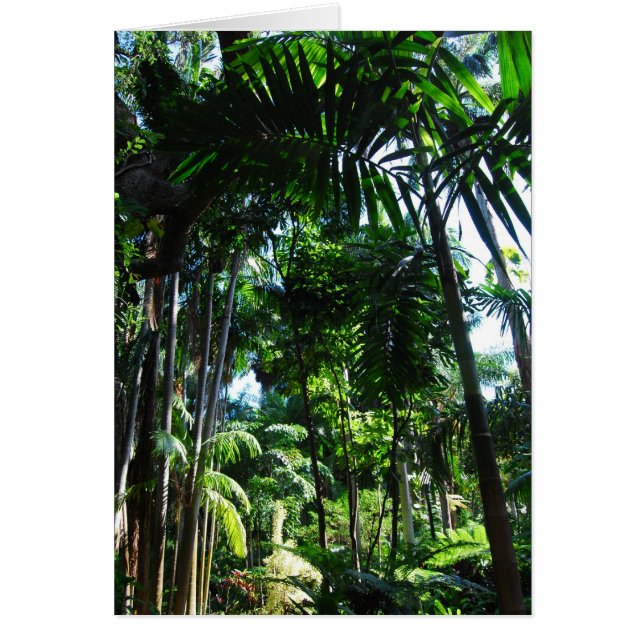 Tropical Beauty (Front)