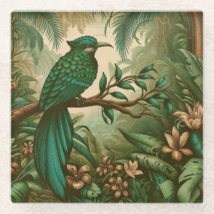 Tropical Bird in Lush Green Jungle 2 Glass Coaster
