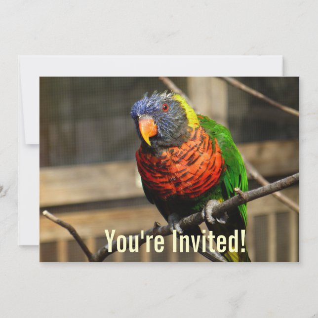 Tropical Bird Invitation Lorikeet Parakeet (Front)