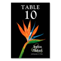 Tropical Bird of Paradise Botanical Wedding